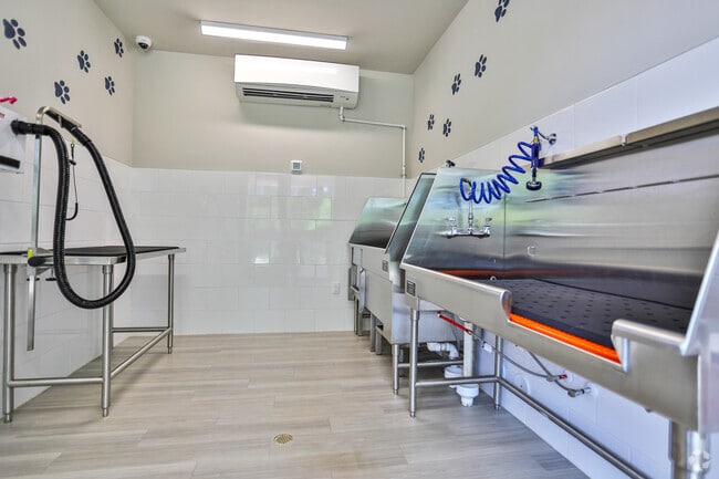 Pet Spa - Matthews Square