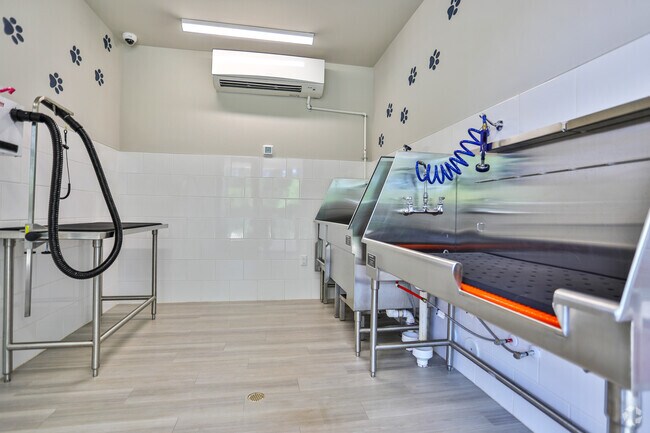 ¡Spa de mascotas - Matthews Square