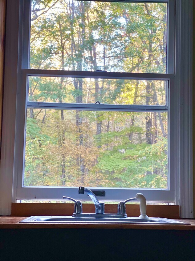 Foto del edificio - 436 Long Plain Rd