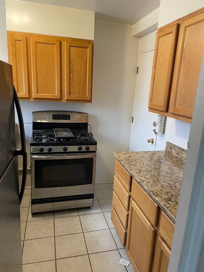 7206 OAK Unit 2SE, River Forest, IL 60305 Condo for Rent in River