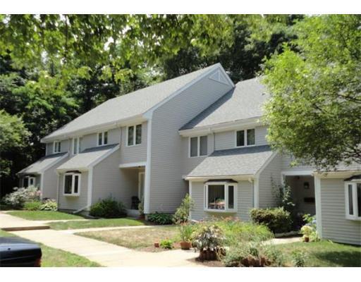 Building Photo - 50 Undine Rd