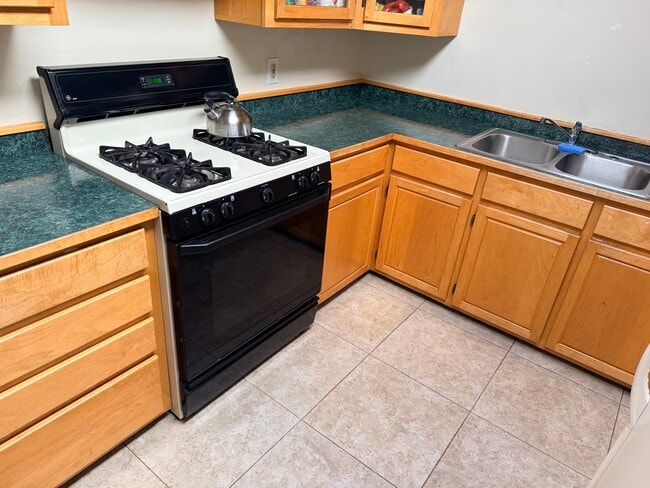 Gas stove - 491 E Juniper Dr