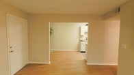 This single-story space is designed with an open, flowing layout that encourages easy movement between living areas. Light hardwood flooring runs throughout, lending warmth and continuity to the interior. Neutral, warm-toned walls create a bright and inviting atmosphere, complementing the clean aesthetic of the space.

A defining architectural feature is the wide, open passageway that connects the main living area to an adjacent dining or secondary living space. This framed opening provides visual depth while maintaining an open feel. Beyond the passageway, a kitchen is partially visible, showcasing white cabinetry and coordinating white appliances. The kitchen's patterned area rug adds a subtle decorative touch.

The overall design is straightforward and practical, with clean lines and minimal ornamentation. The consistent flooring, cohesive color scheme, and open sightlines contribute to a sense of spaciousness throughout. The layout appears well-suited for both everyday living and easy furnishing, offering a versatile and functional environment.