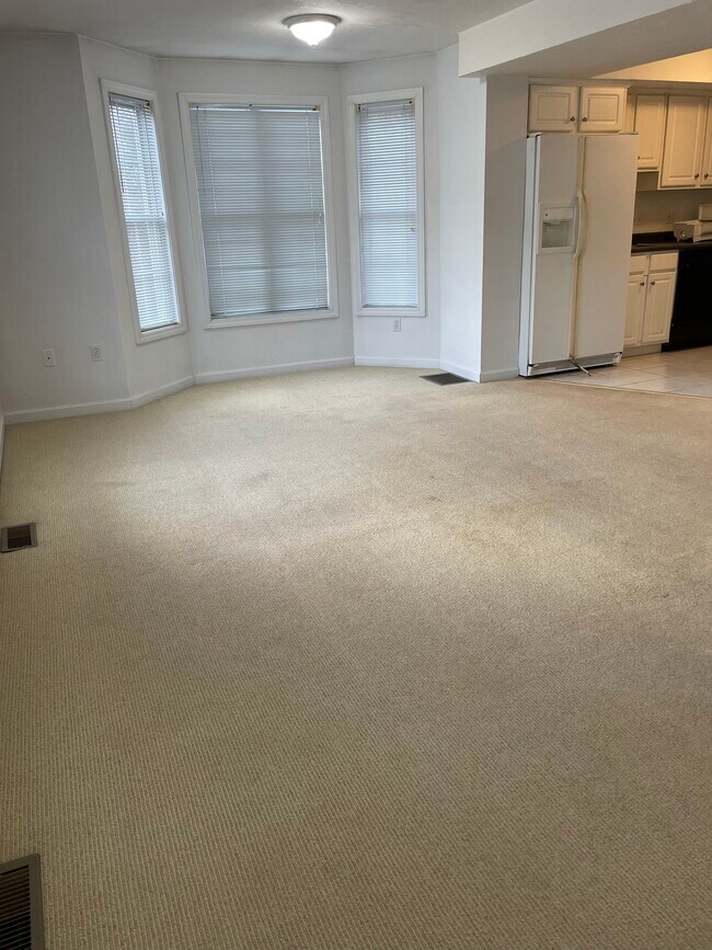 Living room - 206 Falls Blvd