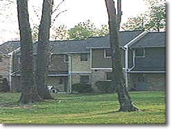 Primary Photo - Seneca Woods Apartments