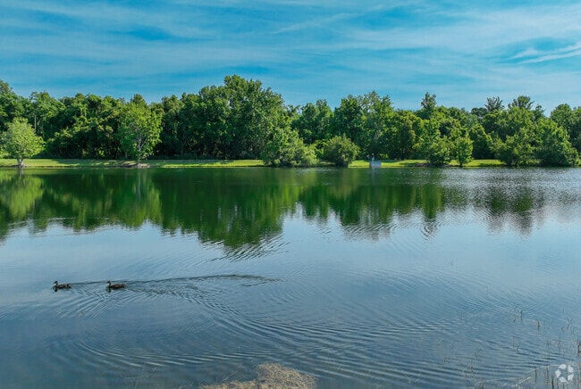 Lake Chadster Park in Deer Run Offers Fishing, Hiking, and a 2 Mile Long Trail