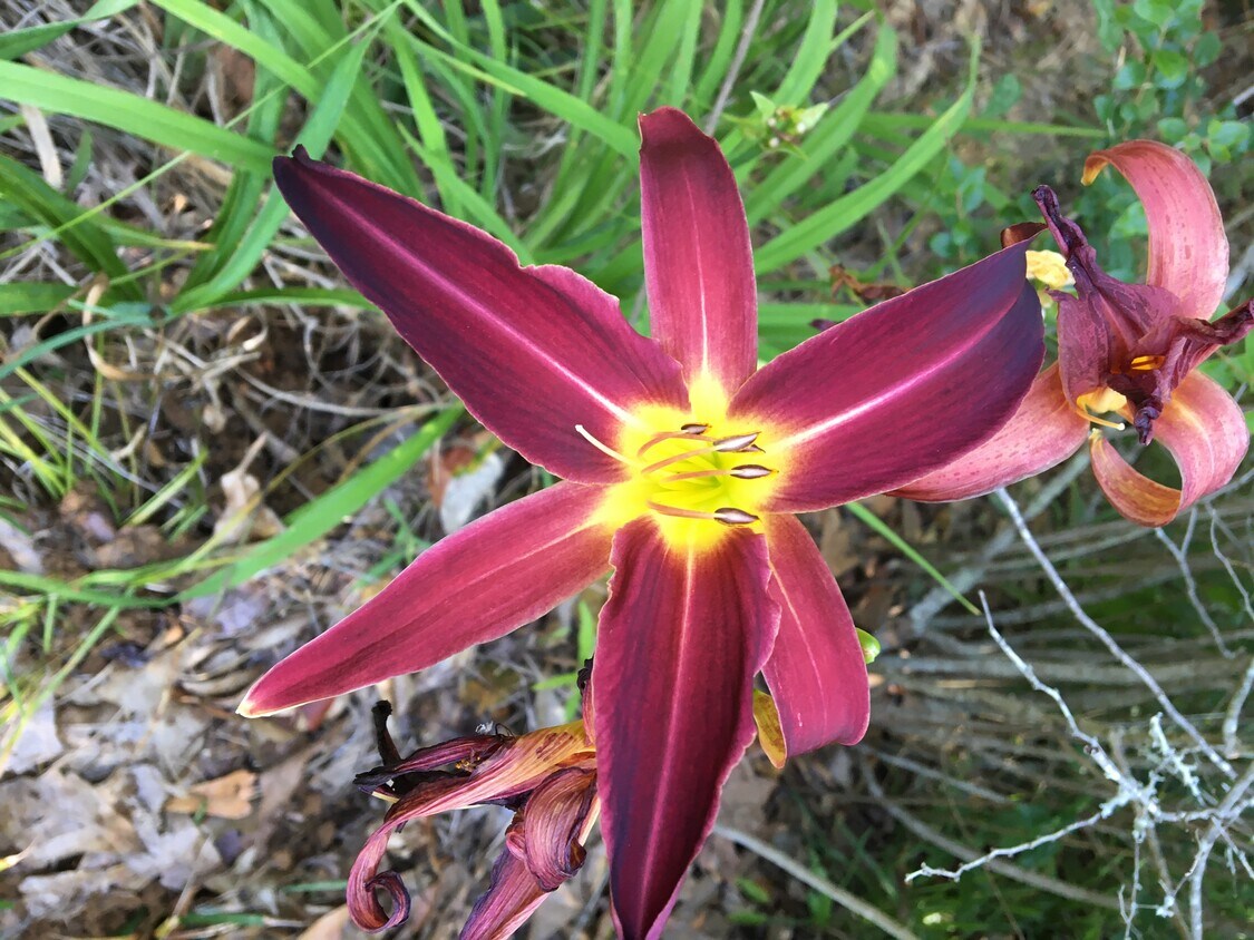 1208 Plaza Dr Unit B, Baker, LA 70714 Apartments in Baker, LA