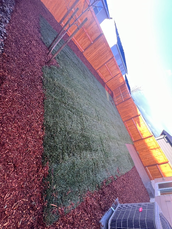 Building Photo - 329 Stella St NE