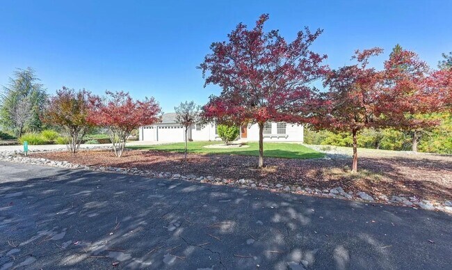 Foto del edificio - Beautiful 3 bedroom 2 bathroom Home in Beautiful Weimar!