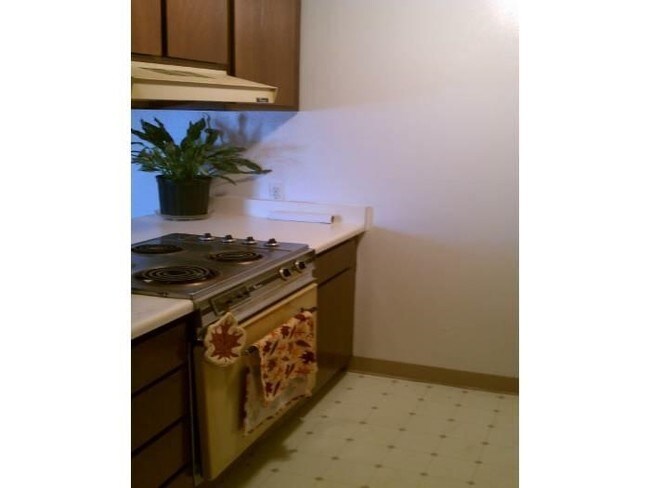 Cocina - 1000 Maxwell Ave