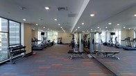 Located at 10 DeKalb Avenue in White Plains, New York, this fitness center offers a well-appointed, single-floor exercise facility designed to meet a wide range of workout needs. The space is generously proportioned, providing ample room for both cardio and strength training activities without feeling crowded.

The layout is thoughtfully organized, with a dedicated cardio zone featuring multiple treadmills and elliptical machines positioned near large windows that invite abundant natural light and offer pleasant outdoor views. A separate strength training area is equipped with a variety of cable and weight machines suited for full-body workouts. Free weights and functional training accessories are also available, rounding out the equipment selection.

Full-length mirrors line one wall, enhancing the sense of openness and allowing members to monitor their form during exercises. Recessed lighting throughout the ceiling ensures the space is brightly and evenly illuminated at all times. The floor is finished with colorful, multi-toned carpet tiles that add a lively visual element while providing underfoot comfort.

The overall ambiance is clean, modern, and functional, with a neutral color palette on the walls and ceilings that keeps the focus on the equipment and the workout experience. This fitness center is well-suited for residents or building occupants seeking a convenient and fully equipped place to exercise.