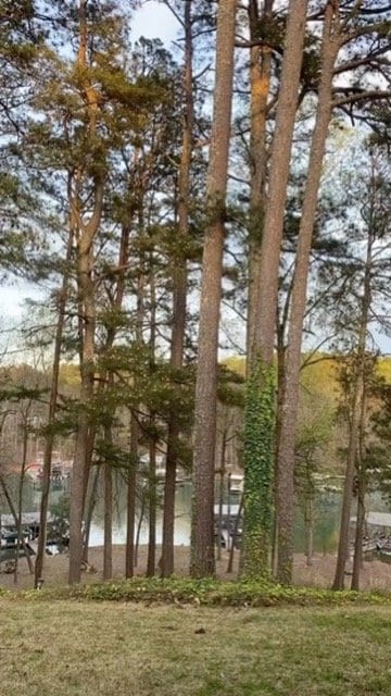 Photo - 2109 Pine Tree Dr Apartment