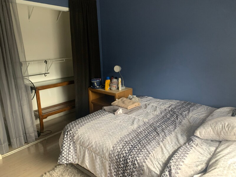 Foto del edificio - 146 Plumage Ln