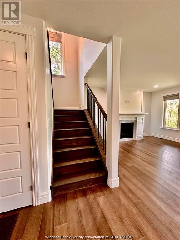 Building Photo - 93 Belleview Dr