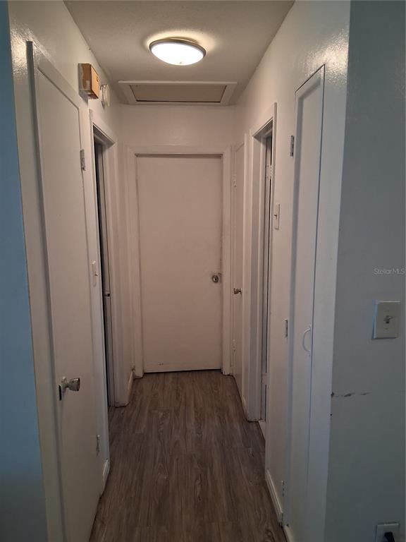 Foto del edificio - 935 Grey Oak Ct