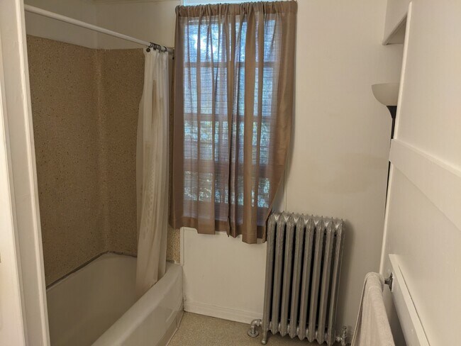 Baño - 222 N Albany St