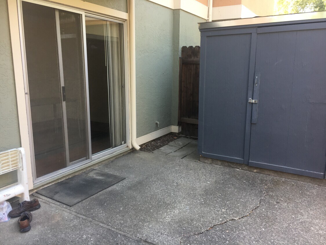 Backyard - 1585 Drake Dr