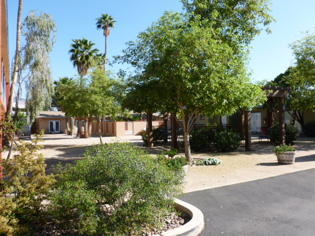 Central Courtyard - Coronado Vista Courtyard Apts.(SENIOR LIVING)