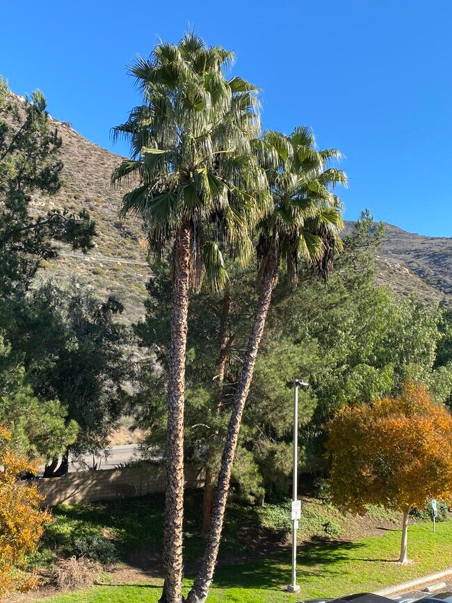 Foto del edificio - 3183 Dehesa Rd