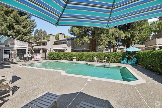 Área de la piscina - Avondale Apartments