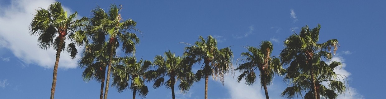 Average Rent in Gainesville, FL - Latest Rent Prices by Neighborhood