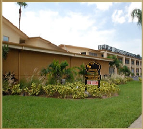 Lawn - Palms of Belleair