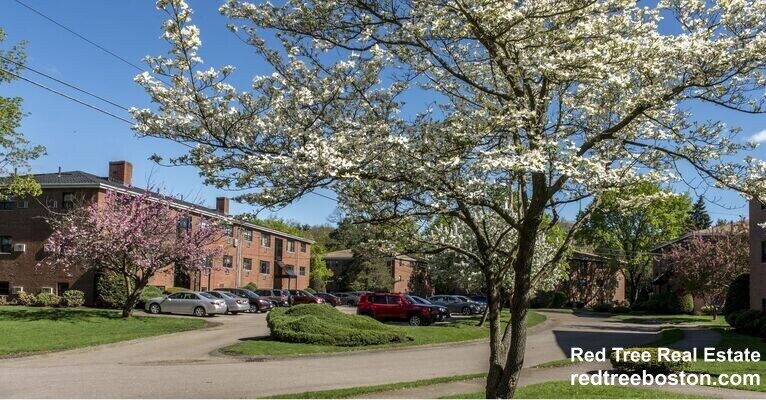 Foto del edificio - 270 Grove St