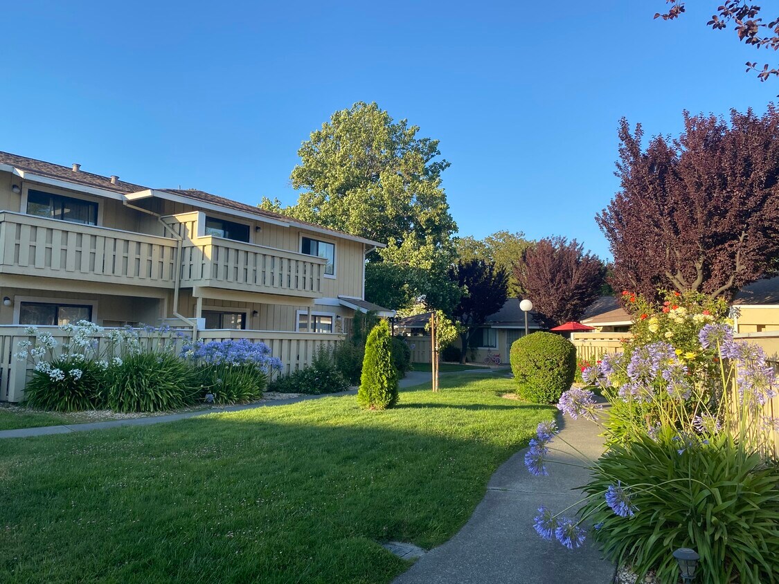 Garden Terrace Apts 2124 Santa Ana Dr Fairfield, CA