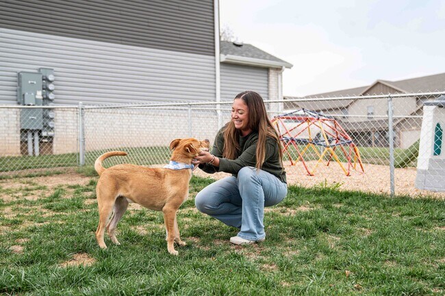 Building Photo - Oakwood Heights Townhomes