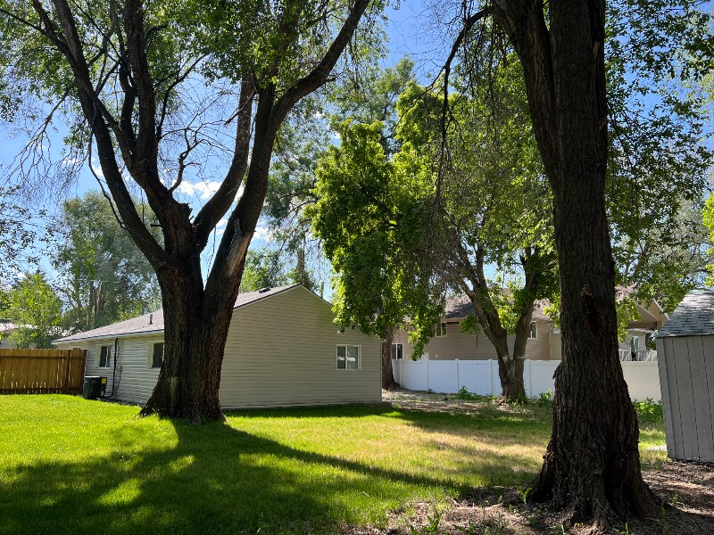 Primary Photo - 203 King St