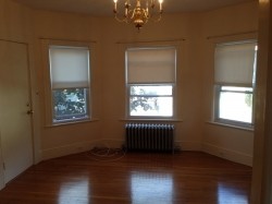 Primary Photo - 37 Hibbert St