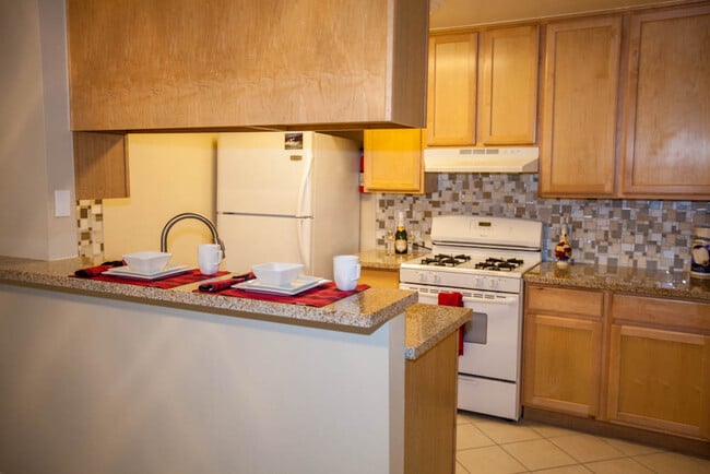 STUDIO, 1 BA -500 SF - Kitchen - Peppertree Apartments