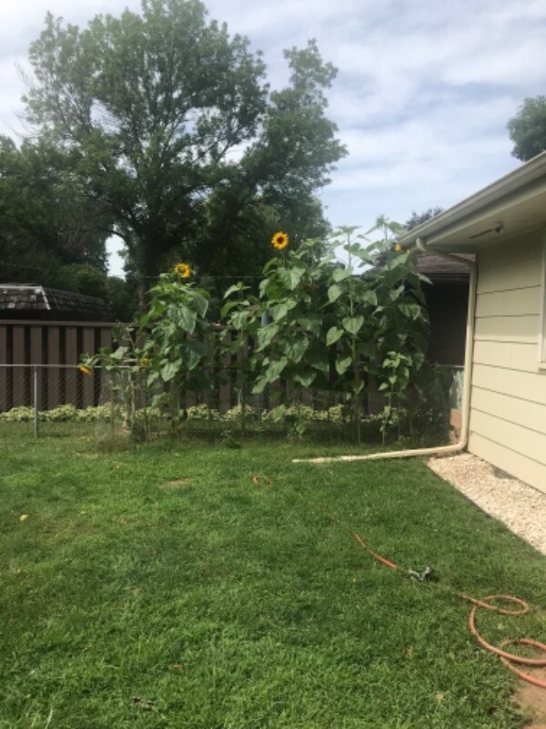 Foto del edificio - 2236 Maple Ln E