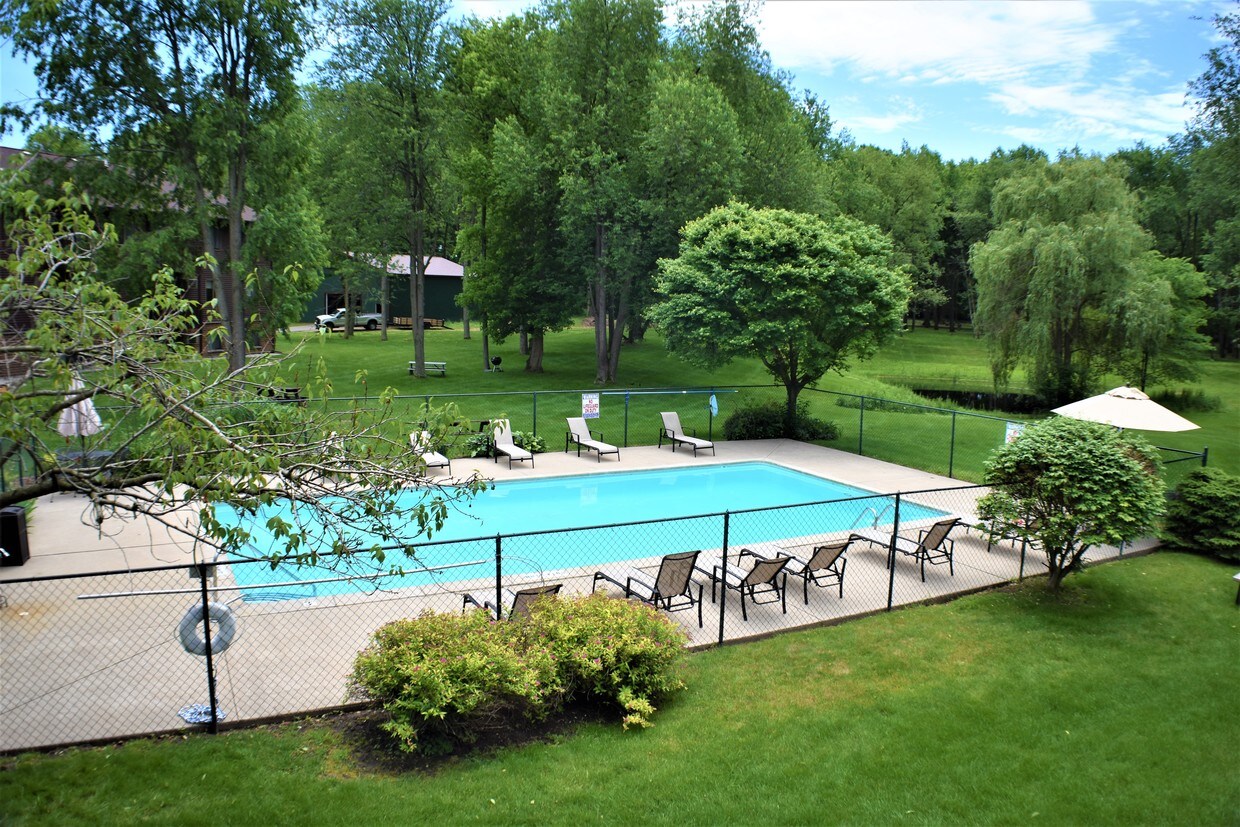 Chestnut Hills Piscina de natación - Chestnut Hills Apartments