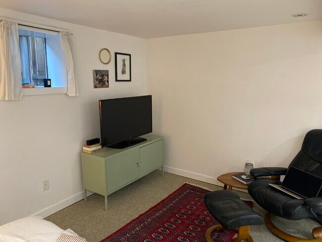 New carpeting in the main room. - 216 W Boston St