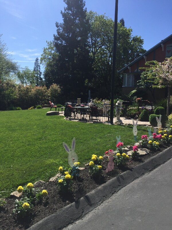 Foto del edificio - 199 Saranap Ave