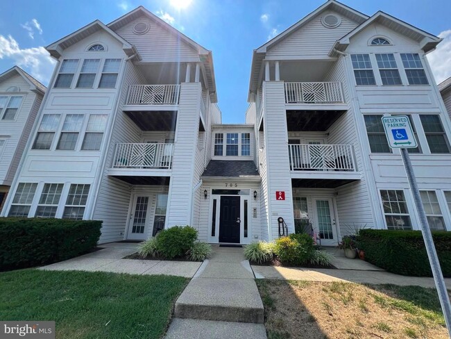 Building Photo - Gorgeous light filled 2 bedroom 2 bath con...