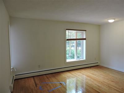 Building Photo - 524 Putnam Ave