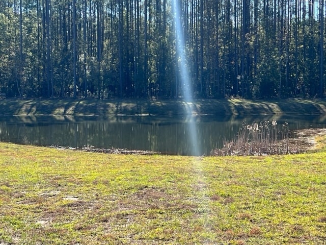 Foto del edificio - 25 Mainland Lakes Dr