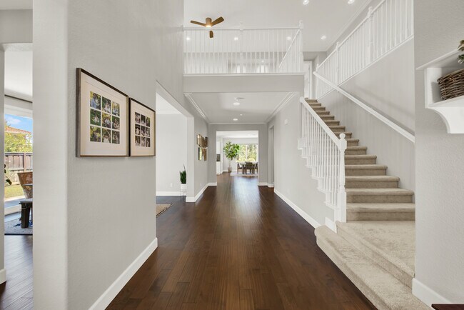 Foto del edificio - 231 Deer Branch Ln