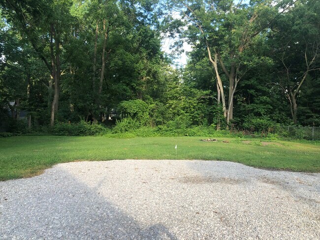 Back yard - spring/summer - 619 S Water St