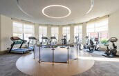 This fitness center is defined by its distinctive circular architectural layout, highlighted by a dramatic round ceiling coffer with an integrated ring of LED lighting that serves as the room's visual centerpiece. The curved walls are lined with large windows fitted with roller shades, allowing generous natural light to flow throughout the space while offering views of the surrounding outdoor landscape.

At the heart of the main exercise area, a raised circular platform with a low glass-and-metal railing houses a selection of cardio and strength equipment, including stationary bikes and elliptical machines. Additional cardio equipment, such as treadmills and stair climbers, is positioned along the perimeter, taking full advantage of the window views. The flooring transitions between patterned carpet and a smooth circular inlay, reinforcing the room's curved design language.

Adjacent to the main exercise floor is a lounge or consultation area, separated by vibrant green partition panels and featuring comfortable seating, display boards, and accent walls in teal and yellow tones. A corridor leading into the fitness center features a dual water fountain station mounted to the wall, alongside posted fitness center guidelines. The overall ambiance is modern, bright, and well-organized.