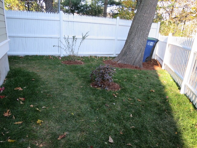 Building Photo - 41 Thorndike St