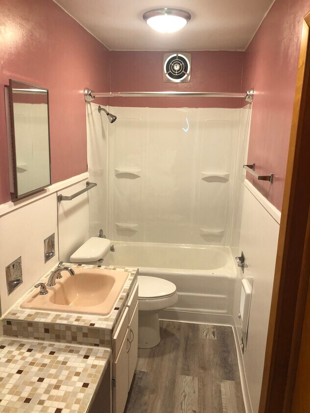 Main Bathroom - 1002 Buffalo St