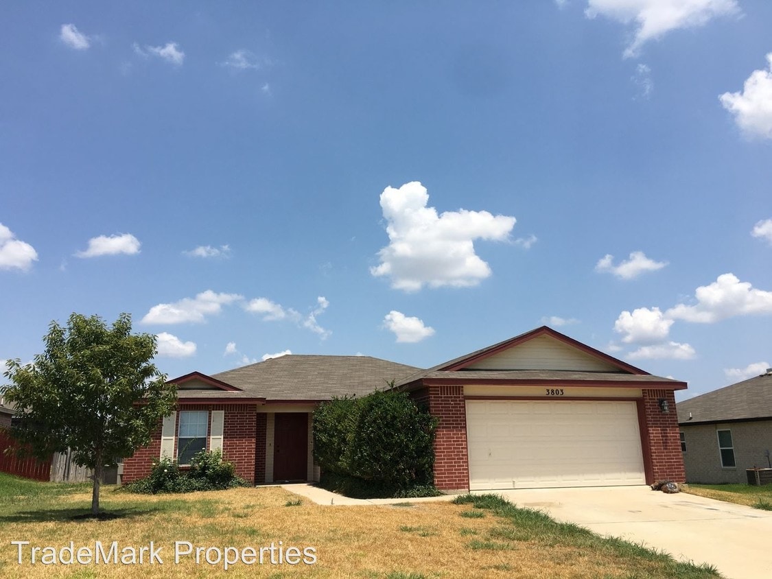 Primary Photo - 3 br, 2 bath House - 3803 Frigate