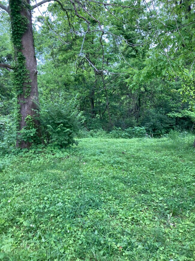Building Photo - 3250 Chestnut Grove Ridge Rd