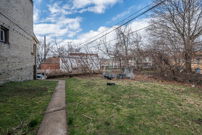 Level Back yard - 3551 California Ave