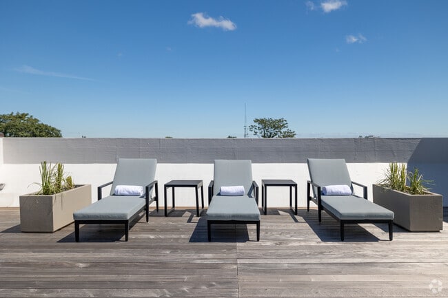 Rooftop - The Willow at Long Branch