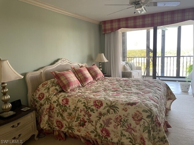 Foto del edificio - 2400 Gulf Shore Blvd N