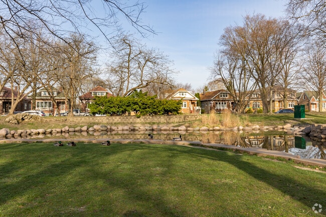 Proska Park Pond Mallards in view on the Green Grass